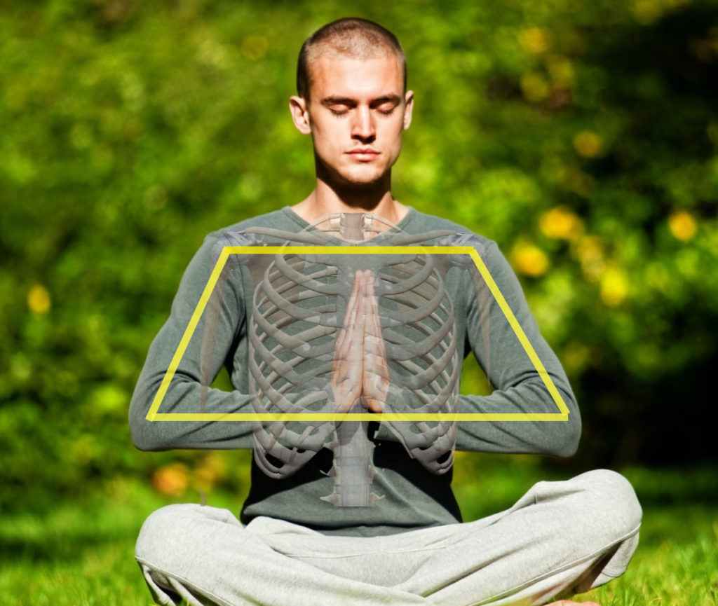 太陽礼拝を分解する 1 Ibuki Yoga